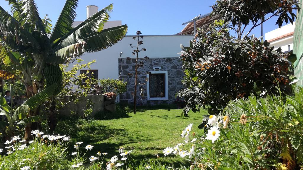 Villa Canaria Santa Maria de Guia de Gran Canaria Esterno foto