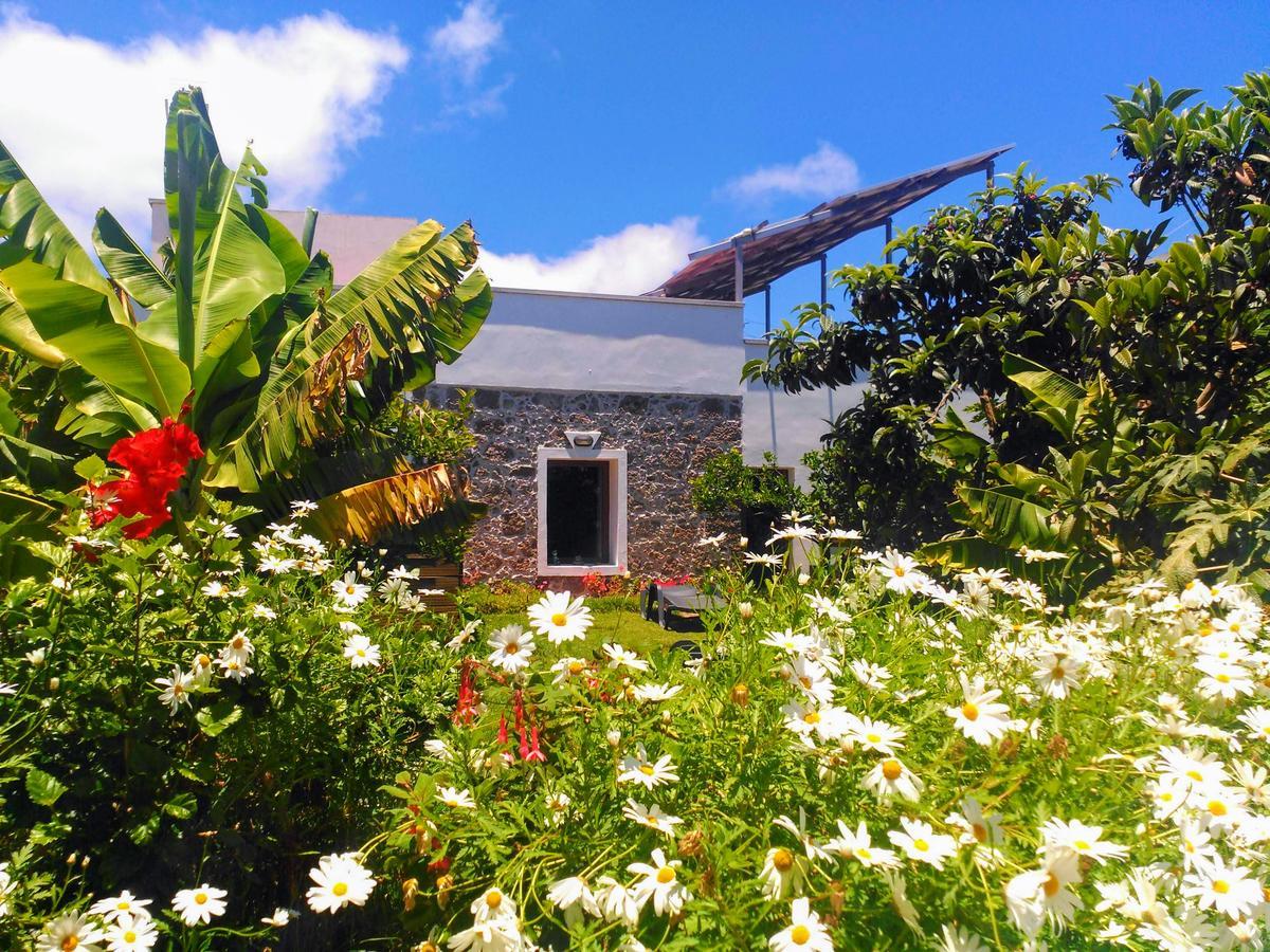 Villa Canaria Santa Maria de Guia de Gran Canaria Esterno foto