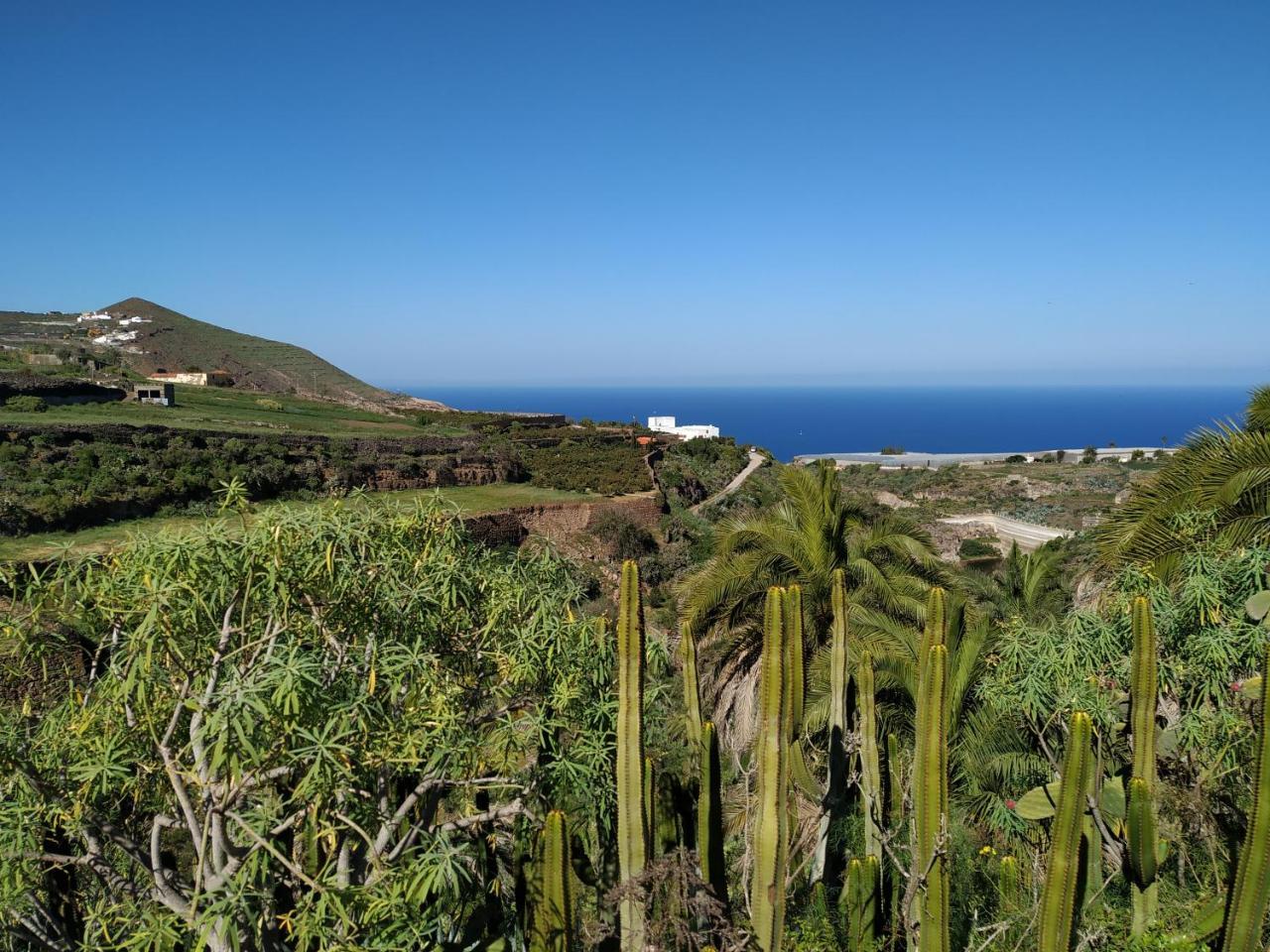 Villa Canaria Santa Maria de Guia de Gran Canaria Esterno foto